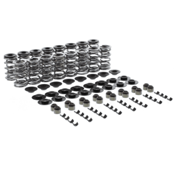 Trick Flow Double Platinum 0.660 LS Dual Valve Springs & Chromoly Retainers