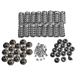 Trick Flow Valve Spring Upgrade Kit for Ford 4.6L/5.4L 2V Engines, Chromoly Retainers, 208lbs Springs
