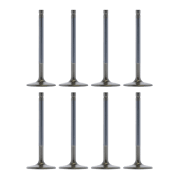 Trickflow SBF Intake Valves 2.020" Dia. / 5.160" Lgth. 12 Deg. Dish For TFS High Port Cylinder Head - Set of 8