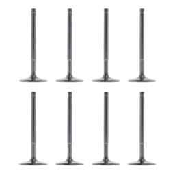 Trickflow SBM Intake Valves 2.020" Dia. / 5.200" Lgth. 6 Deg. Dish For TFS PowerPort Cylinder Head - Set of 8