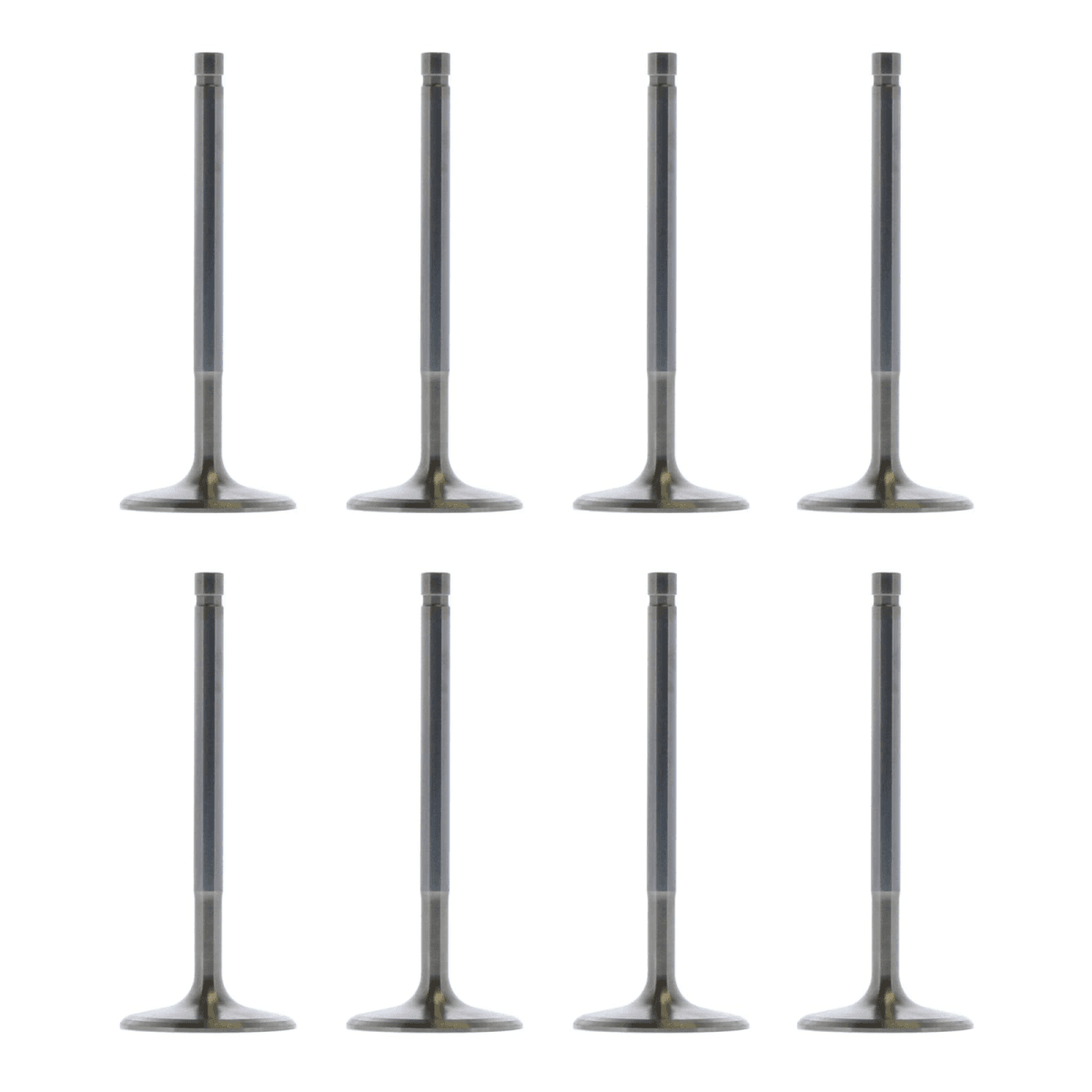 Trickflow SBM Intake Valves 2.020" Dia. / 5.200" Lgth. 6 Deg. Dish For TFS PowerPort Cylinder Head - Set of 8