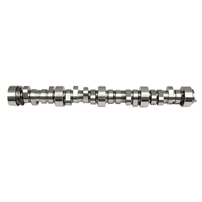 TFS Track Max Camshaft GM LS 291 int./295 exh. Lift - 112 LSA 
