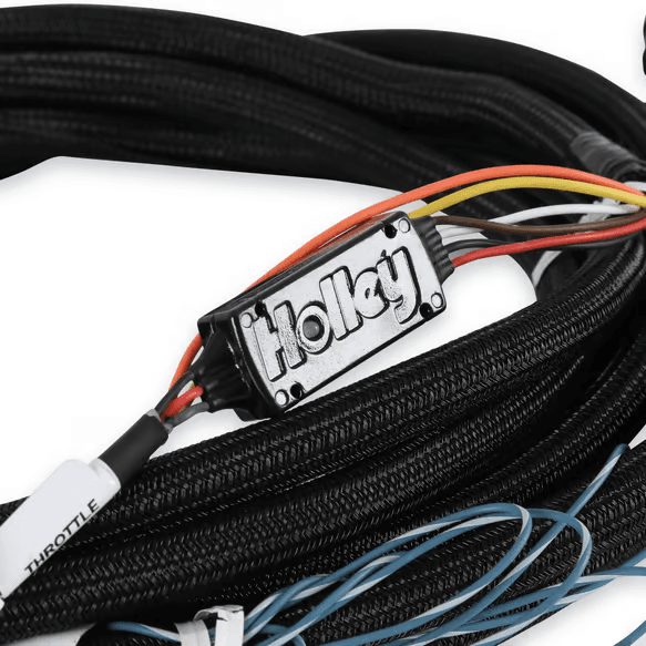 Holley 2018-202 Ford Drive-By-Wire Harness For Terminator X Max thumbnail 2