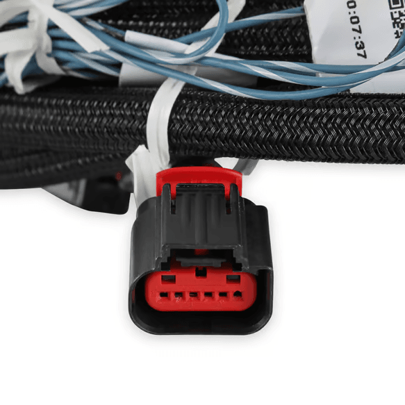 Holley 2018-202 Ford Drive-By-Wire Harness For Terminator X Max thumbnail 3