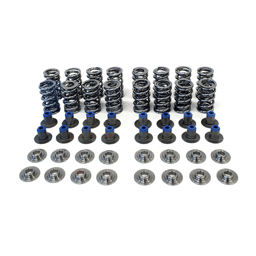 Texas Speed Gen V LT1/L83/L86 Polished Dual Valve Spring Kit w/ Titanium Retainers - .660 Lift
