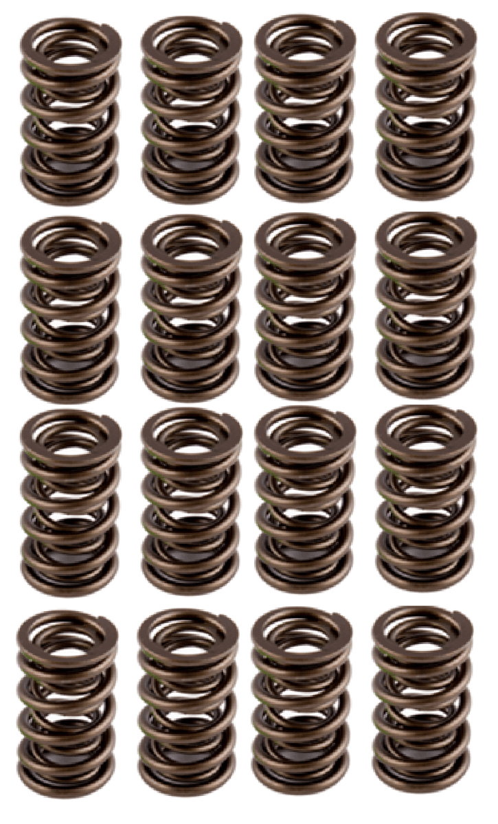 AFR 1.290" OD Hydraulic Roller Valve Spring Set - .600 Lift
