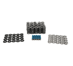 BTR VX Gen 3 Dodge Viper V10 Dual Valve Spring Kit w/ Titanium Retainers - .660 Lift