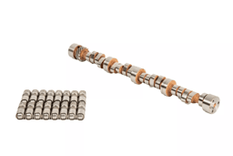 AFR Stage 2 SBC Hydraulic Roller Camshaft, Morel OE Drop-in Lifters and .600 Lift Valve Spring Kit