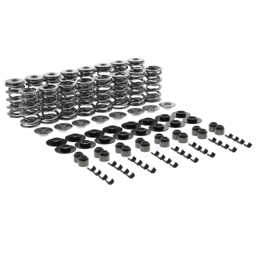Trick Flow Double Platinum 0.660 LS Dual Valve Springs & Titanium Retainers