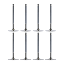 Trickflow LS Intake Valves 2.165" Dia. / 5.200" Lgth. 12 Deg. Dish For TFS GenX Cylinder Heads - Set of 8